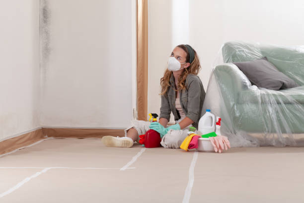 Reliable Crawl Space Mold Remediation contractor in Winchester, TN by Mold Remediation HQ